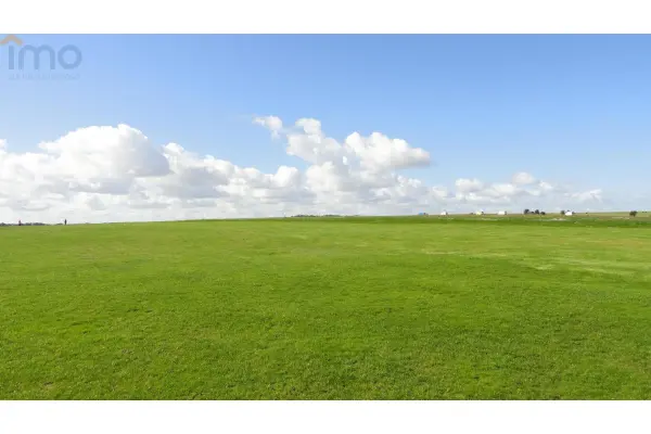 grójecki, Pniewy, Cychry, Zacznij uprawiać ekologiczne warzywa dla siebie