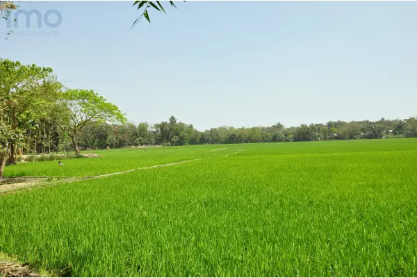podkarpackie, brzozowski, Brzozów, Przysietnica, Działka pod inwestycję
