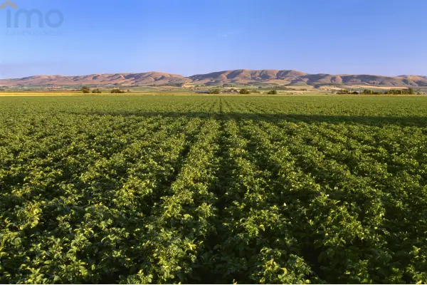 mazowieckie, Warszawa, Żoliborz, Powązki, Działka niedaleko cmentarza, atrakcyjna cena