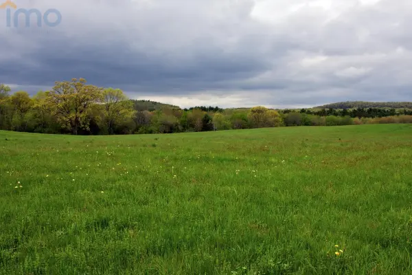 krośnieński, Dąbie, Budynia, Do dzierżawy - teren leśny