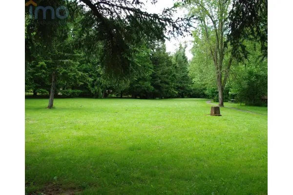 krośnieński, Dąbie, Budynia, Do dzierżawy - teren leśny