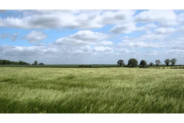 Oleszka, Zdzieszowice, Здається в оренду ділянка