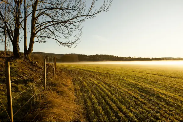 krapkowicki, Zdzieszowice, Oleszka, Wynajmę teren pod maszyny budowlane