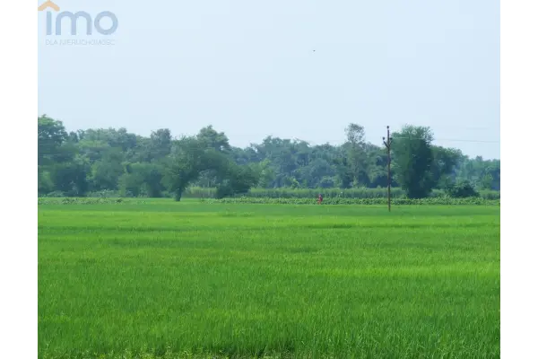 Toruń, Czerniewice, Teren do uprawy roślin - działka