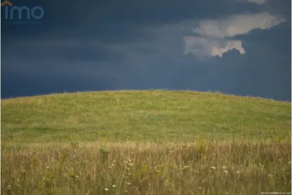 lubartowski, Michów, Elżbietów, Zadzwoń i wyprzedź innych kupujących