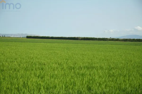 kutnowski, Łanięta, Zgoda, Działka na sprzedaż